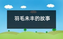 羽毛未豐的故事