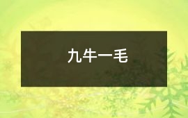 九牛一毛