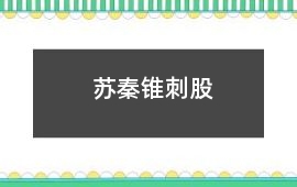 蘇秦錐刺股
