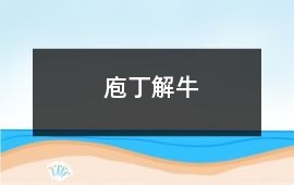 庖丁解牛