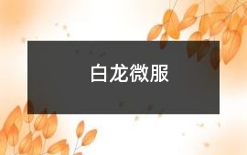 白龍微服