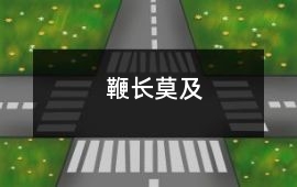 鞭長莫及