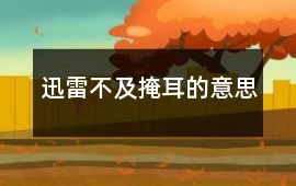 迅雷不及掩耳的意思