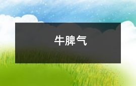 牛脾氣