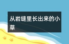 從巖縫里長出來的小草