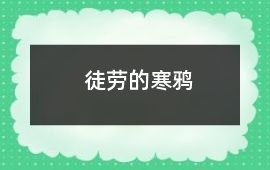 徒勞的寒鴉