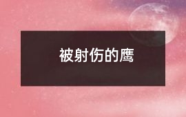 被射傷的鷹