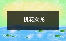 桃花女龍