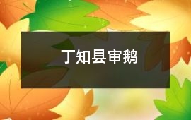 丁知縣審鵝