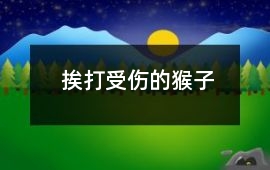 挨打受傷的猴子
