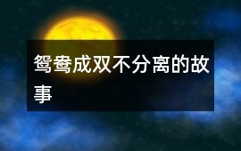 “鴛鴦成雙不分離”的故事
