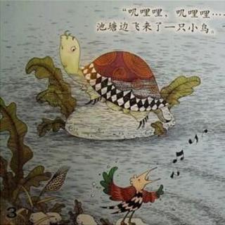 老烏龜和小鳥
