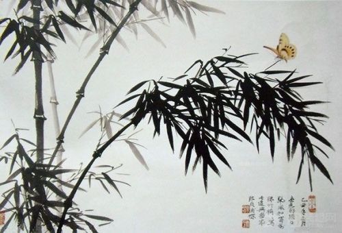 憤怒的竹子