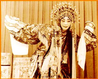 梅蘭芳愛國事跡