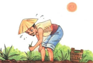 拔苗助長