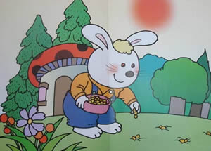小白兔種蘿卜