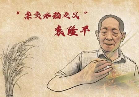 雜交水稻之父袁隆平的故事
