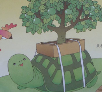 小烏龜的橘子樹