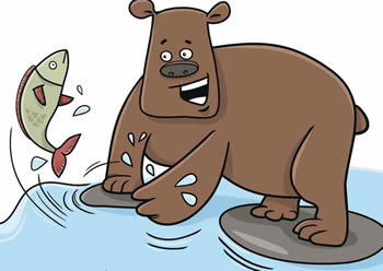 憨豆熊種魚