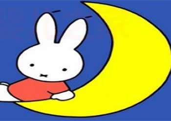 睡在屋頂上的月亮姐姐