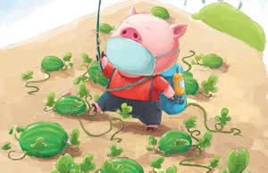 種西瓜的小豬