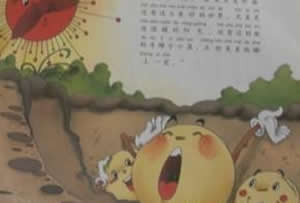 愛睡懶覺的種子