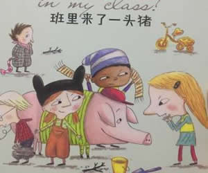 班里來了一頭豬
